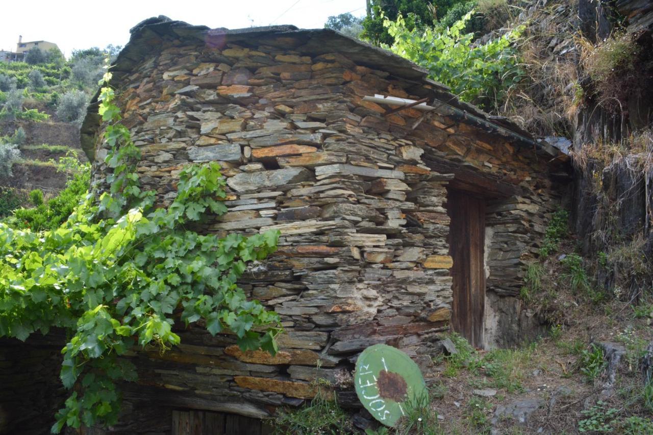 Casa Do Azereiro Villa Casal do Rei  Exterior photo